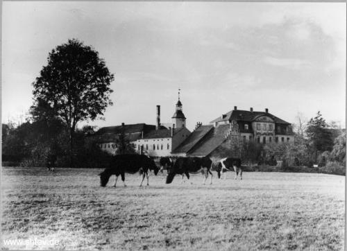 Kloster-0068